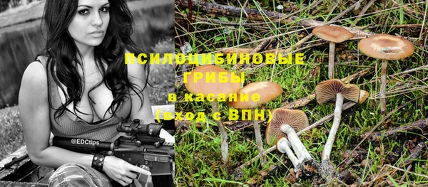 а пвп мука Абаза