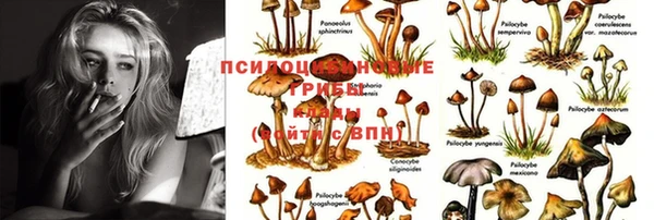 мескалин Абинск